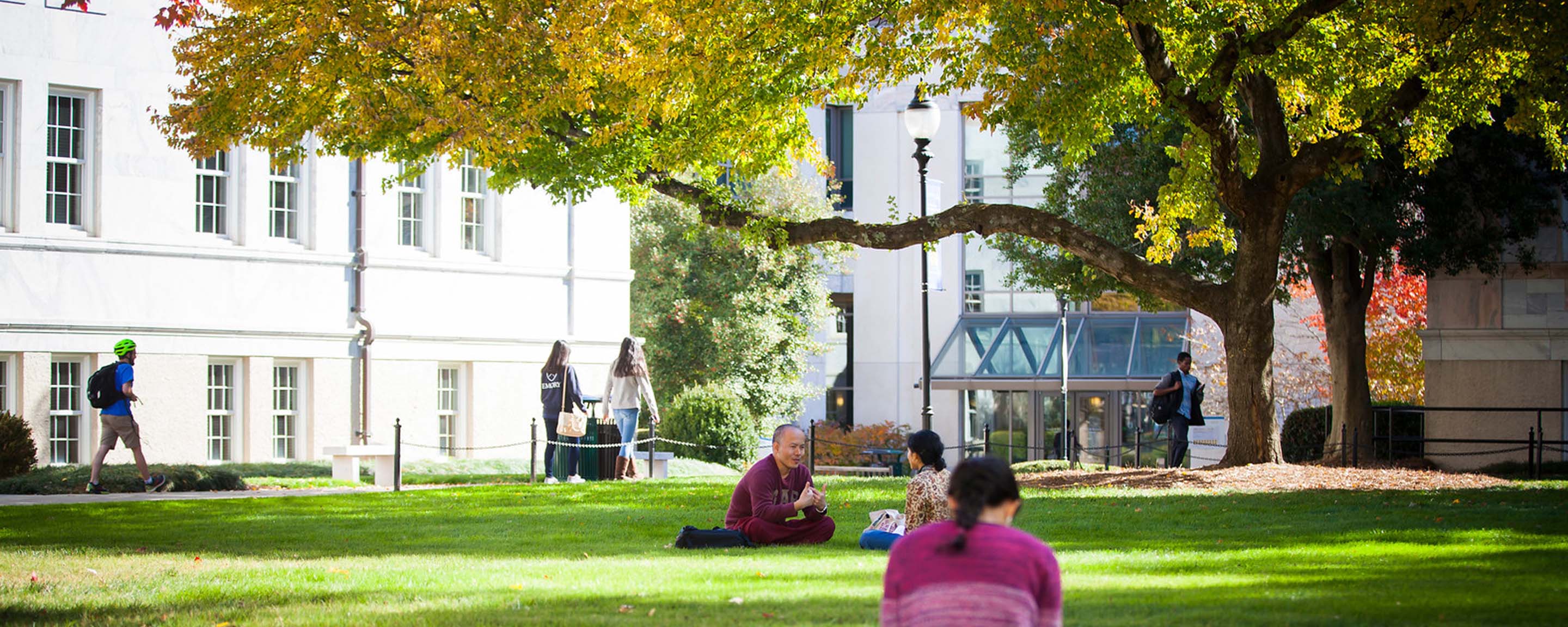 Members of Emory community studying, and talking on the Quad.