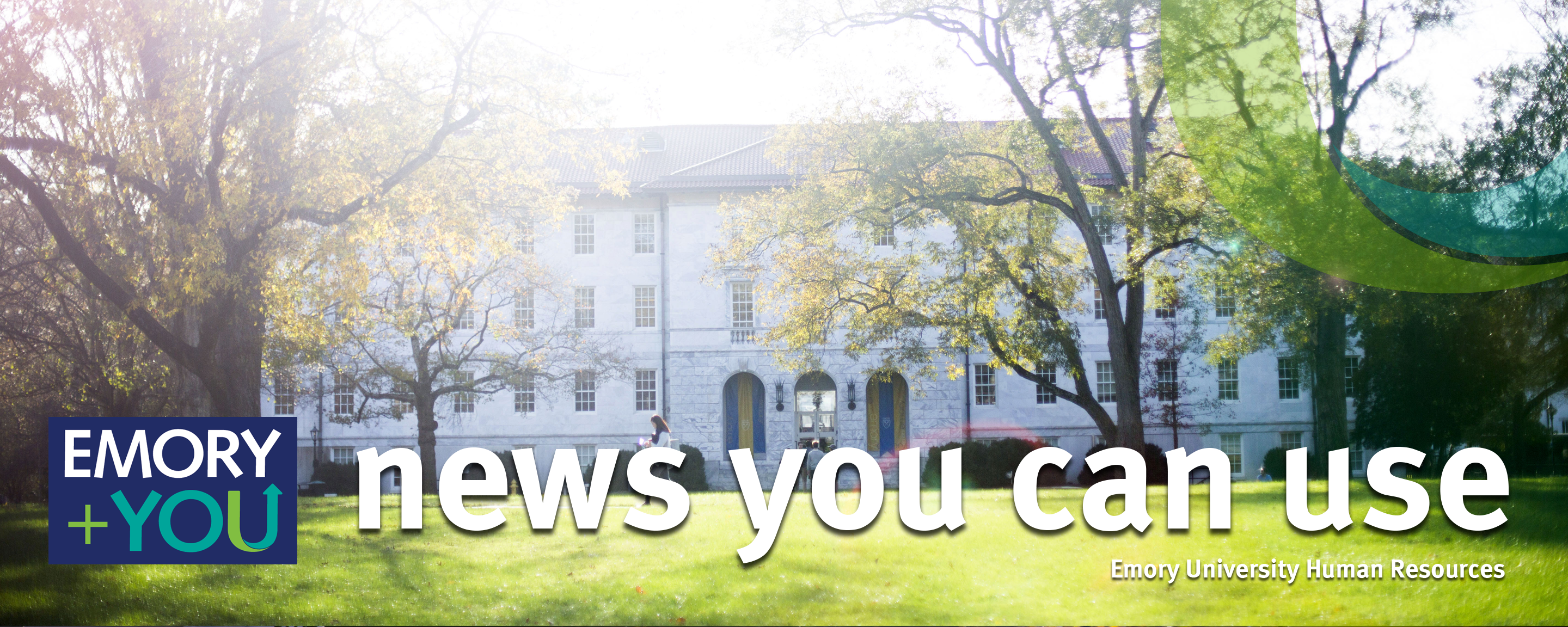 graphic of navigating career resources