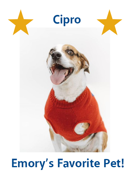 Cipro - Emory's favorite pet