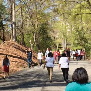 walking group at Lullwater Preserve