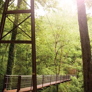 bridge at Lullwater Park